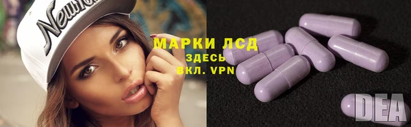 PSILOCYBIN Абинск