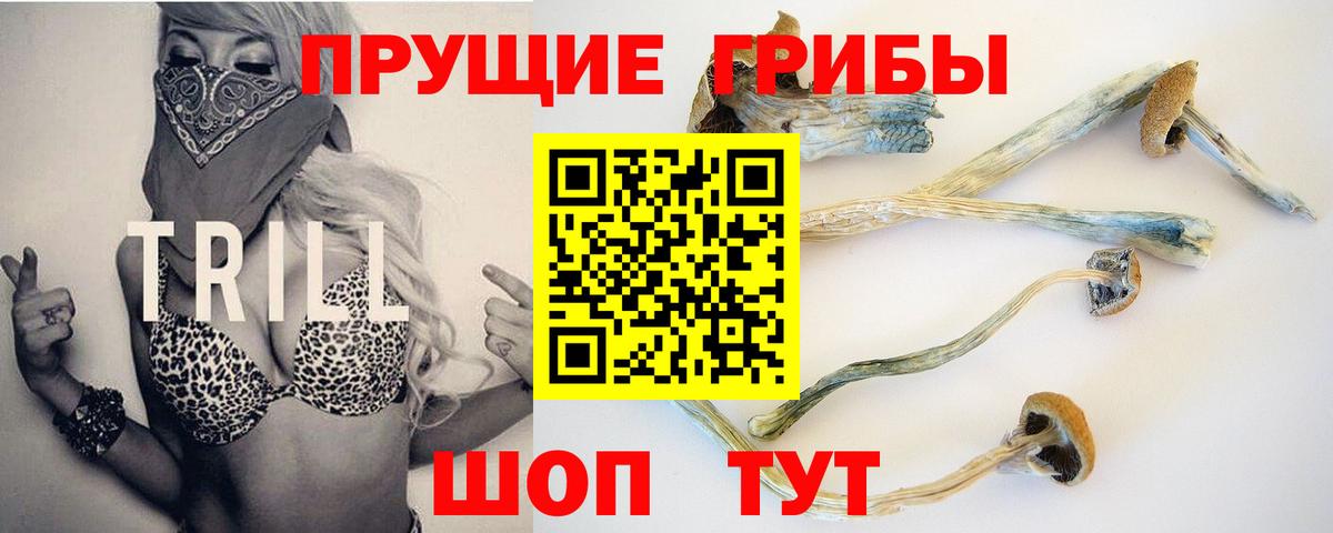 купить наркоту  Псилоцибиновые грибы Psilocybine cubensis  Вход с VPN  Псилоцибиновые грибы Cubensis  Зеленодольск 
